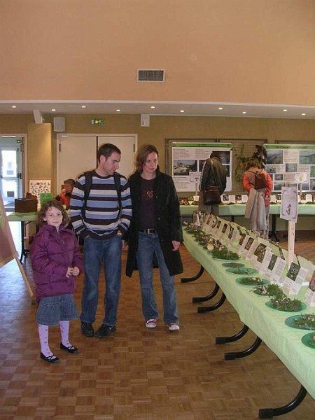 Expo champignons a St Leger 84